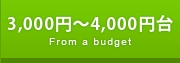 3000円〜4000円台