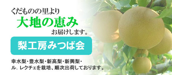大地の恵み届けます<梨工房みつば会>