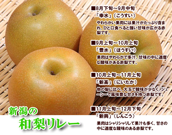 新潟の和梨リレー